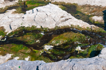 Filamentous algae in water flowing over granite rocks