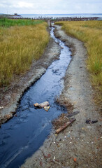 From the Kuyalnik sanatorium flows out black water with curative liman mud. Kuyalnik estuary