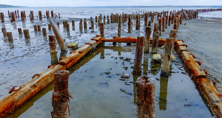 Self-settling salt on wooden logs. Hypersaline water in a drying lake, an environmental problem....