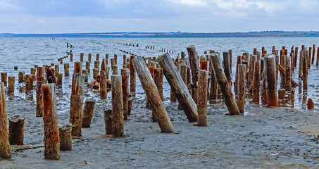 Self-settling salt on wooden logs. Hypersaline water in a drying lake, an environmental problem....
