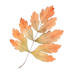 Pastel Autumn Leaves Watercolor Clipart