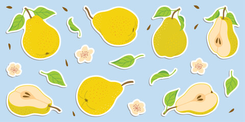 Hand drawn colorful pear stickers set, whole and cut fruit, flowers, leaves. Trendy flat style stickers for labels, posters, web. Ripe juicy pears. Vegetarian organic food. Vector illustration