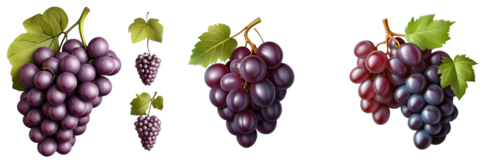 grapes isolated on transparent background