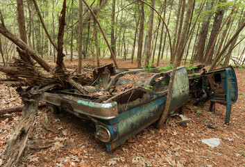 Rusting automobile trashing up a forest
