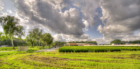 A formation of massive clouds gathers above a rural landscape in The Netherlands.