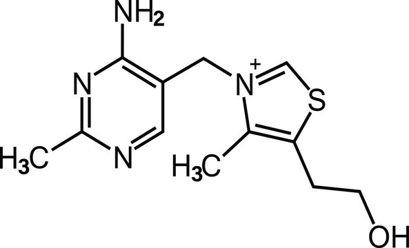 Vitamin B1. Vitamin b1 formula for healthcare. Thiamin as a healthy food. thiamine chemical structure of molecular compounds.