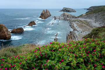 Panoramic view of a rocky shoreline with a beautiful flower garden in the foreground. Pink flowers...