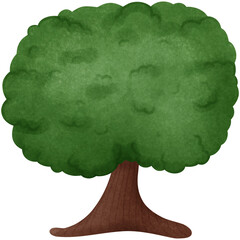 Illustration of a tree Hand drawn watercolor style