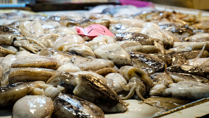 Fresh seafood and fishes at the fish market. transaction in fish market.