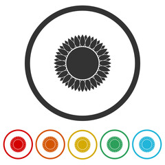 Sunflower simple icon. Set icons in color circle buttons