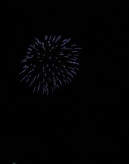 Fototapeta premium 打上げ花火