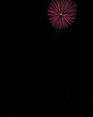 Fototapeta premium 打上げ花火