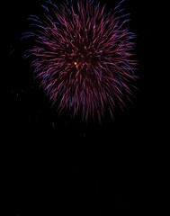 Fototapeta premium 打上げ花火