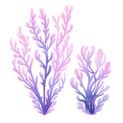 Pastel Sea Animal Watercolor Clipart, Coral Illustration, Nursery Underwater Animals Design 