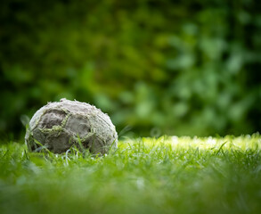 Abgenutzter Fußball im Garten liegend