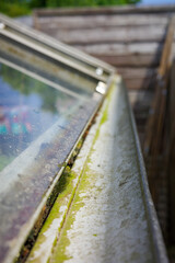 Close-up of a greenhouse roof with moss and dirt, illustrating natural decay and the effects of weather over time.