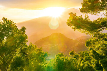 amazing landscape from a highland green park with trees and bushes to a beautiful sunset or sunrise...