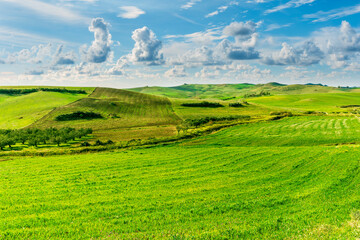 young spring field on hills of green rustic farmland with grass plants and garden. Countryside...