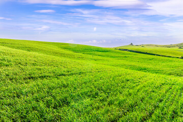 Fototapeta premium panoramic farmland landscape with green spring field , salad and yellow hills, garden and grassland and beautiful cloudy sky.