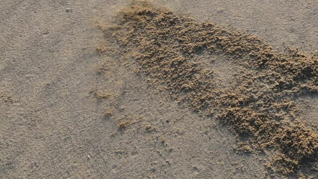 砂を掻ける