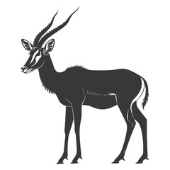 Fototapeta premium Silhouette impala animal full body black color only