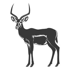 Fototapeta premium Silhouette impala animal full body black color only