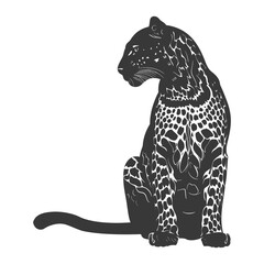 Obraz premium Silhouette Leopard animal full body black color only