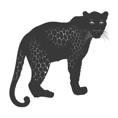 Obraz premium Silhouette Leopard animal full body black color only