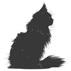 Silhouette long hair cat animal full body black color only