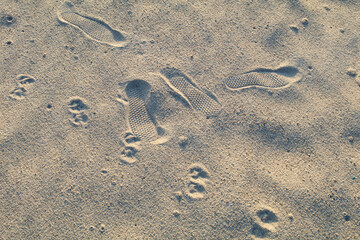 砂浜に残る足跡