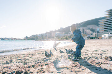 Little girl feeding pigeons on a sandy beach