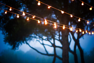 Bare bulb string lights in front of silhouetted trees and foggy blue evening skies at a wedding venue