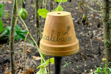 calebasse, jardin potager