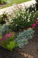 Terraced Flower Garden Enhances Hill
