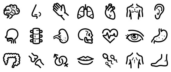 Mega Set Of Vector Human Anatomy Icons Collection Isolated Silhouette Solid Icons Including Medical,Human,Science,Anatomy,Body Infographic Simple Vector Illustration Logo