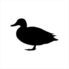 Gadwall duck silhouette isolated on white background. Duck icon vector illustration design.