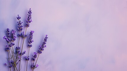 a serene scene with a soft lavender background adorned by a subtle grain texture. 