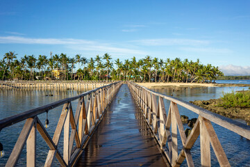 Wooden boardwalk leading to a lush, palm-covered island at Cloud 9, Philippines. The clear blue sky and surrounding waters enhance the tropical beauty of this picturesque location.