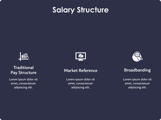 Three types of Salary structure - Traditional Pay structure, Market reference, Broad banding. Infographic template with icons and description placeholder