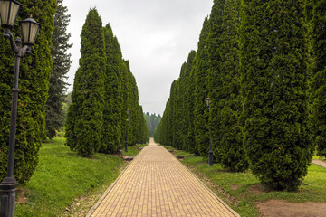  Resort park. Early foggy autumn day.