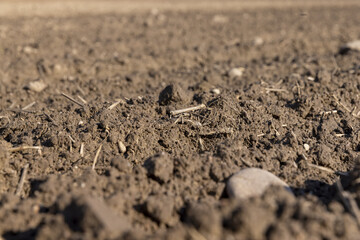 preparing the soil for sowing in spring
