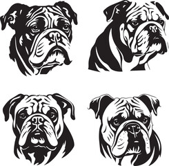 Bulldog Pet Face Vector Set