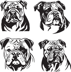 English Bulldog Pet Face Vector Set