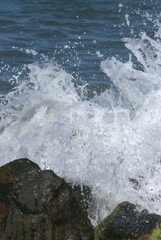 El denominador comun de la region es el agua,desde unas playas de colores esmeralda hasta los numerosos rios de agua dulce.