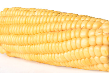 corn natural food healthy delicious vegan cooked green corn isolated on transparent white background