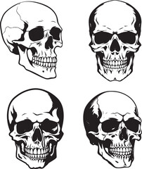 Skeleton Skull Vector Set