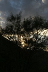 Hay muchos lugares donde puedes ver maravillosos atardeceres,los de aqui no tienen nada que...