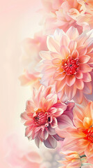 painting watercolor flower background illustration floral nature. chrysanthemum flower background for greeting cards weddings or birthdays. Flowers on a dark background. Copy space.