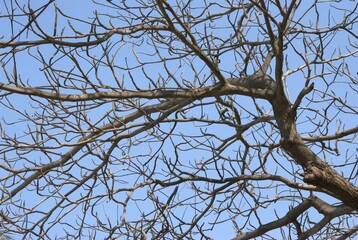 Fondos y texturas,basta mirar a nuestro alrededor y podemos encontrar imagenes que solo un ojo entrenado como el de un fotografo puede 