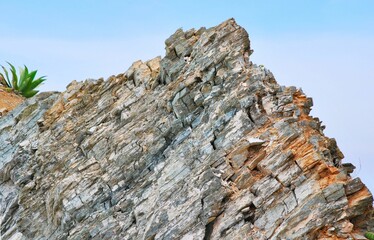 Fondos y texturas,basta mirar a nuestro alrededor y podemos encontrar imagenes que solo un ojo entrenado como el de un fotografo puede "ver".